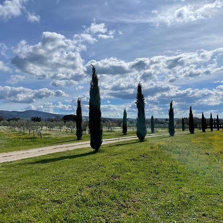 Podere Dell'Arco Country Charme Витербо Екстериор снимка